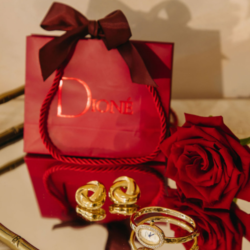 Luxury Gift Bag